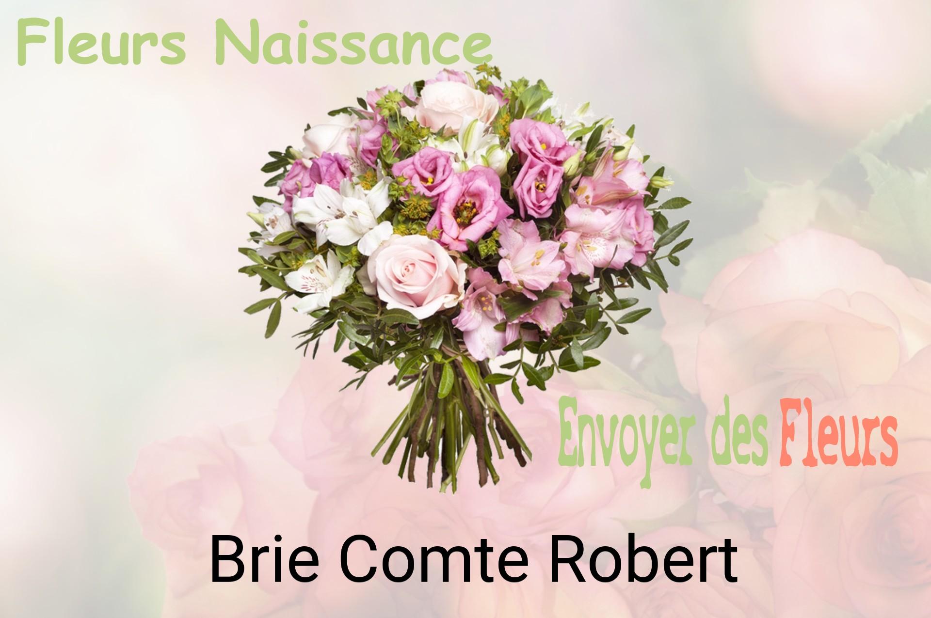 Bouquet de fleurs de naissance livré à Brie-Comte-Robert
